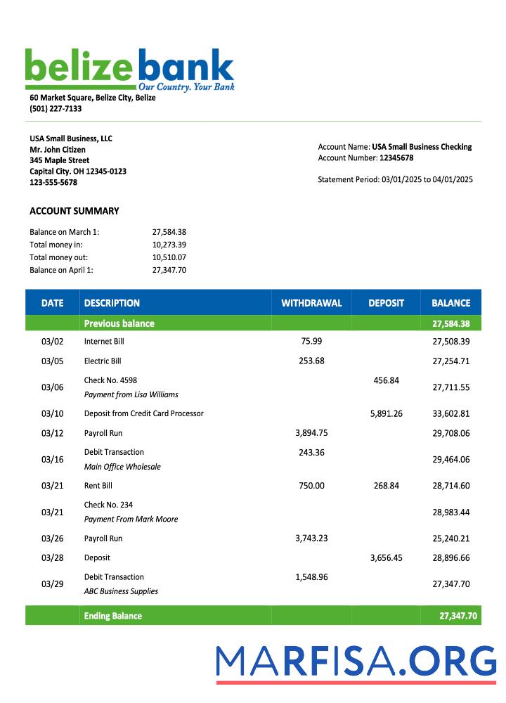 Blank USA Belize Bank organization account statement Word and PDF template
